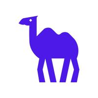 CAMEL-AI logo